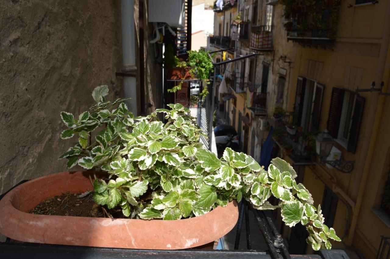 Futtitinni Home Casamia Palermo Bagian luar foto